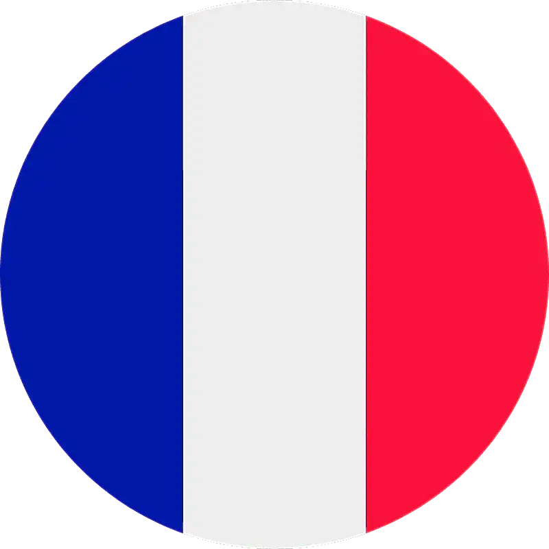 fransız bayrağı